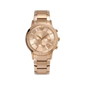 Emporio Armani AR2452 Kadın Kol Saati