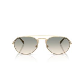 Emporio Armani EA 2171 30022C 57 Erkek Güneş Gözlüğü