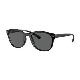 Emporio Armani EA4225U 5001/87 53 Unisex Güneş Gözlüğü