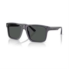 Emporio Armani EA4232 610687 57 Şeffaf Gri Erkek Güneş Gözlüğü