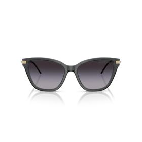 Emporio Armani EA4251 62628G 54 Kadın Güneş Gözlüğü