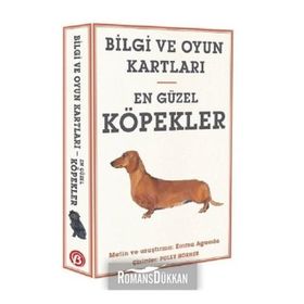 En Güzel Köpekler Beta Kids Yayınları
