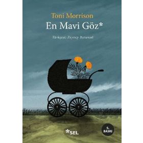 EN MAVI GÖZ - TONI MORRISON