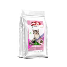 Energy 2x15 kg Tavuklu Yavru Kedi Maması