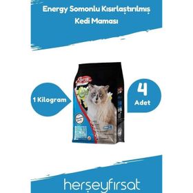 Energy 4x1 kg Somonlu Yetişkin Kedi Maması