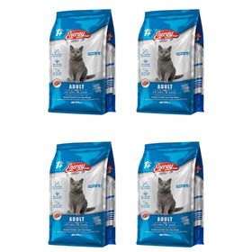 Energy 4x500 gr Somonlu Yetişkin Kuru Kedi Maması