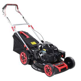 Energy DM53P-D196 Benzinli Çim Biçme Makinesi
