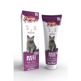 Energy Multi Paste 100 gr Multivitamin Malt