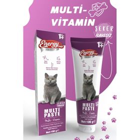 Energy Multi Paste 100 gr Multivitamin Malt