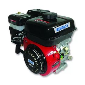 Energy WM170FB-Q Benzinli Motor