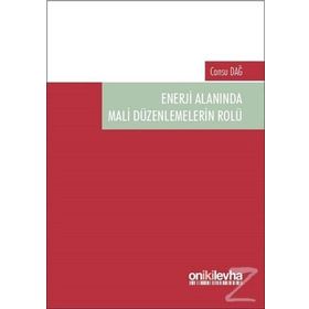 Enerji Alanında Mali Düzenlemelerin Rolü - Cansu Dağ