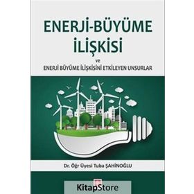 Enerji-büyüme İlişkisi Ve Enerji Büyüme İlişkisini Etkileyen Unsurlar - Tuba Şahinoğlu