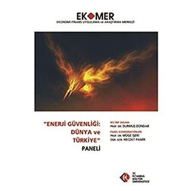 Enerji Güvenliği Dünya ve Türkiye Paneli 2010 - kollektif