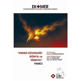 Enerji Güvenliği Dünya ve Türkiye Paneli 2010 - kollektif