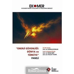 Enerji Güvenliği Dünya ve Türkiye Paneli 2010 - kollektif