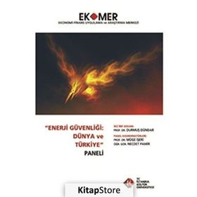 Enerji Güvenliği Dünya ve Türkiye Paneli 2010 - kollektif