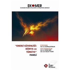 Enerji Güvenliği Dünya ve Türkiye Paneli 2010 - kollektif