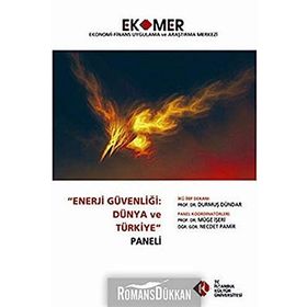 Enerji Güvenliği Dünya ve Türkiye Paneli 2010 - kollektif