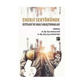 Enerji Sektöründe İktisadi ve Mali Araştırmalar - Mahmut Dağ