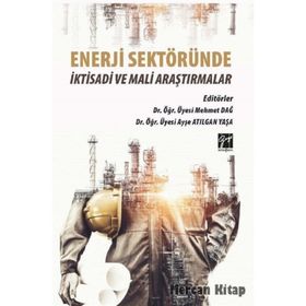 Enerji Sektöründe İktisadi ve Mali Araştırmalar - Mahmut Dağ