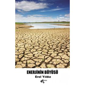 Enerjinin Büyüsü - Erol Yıldız - Papirüs Yayınevi
