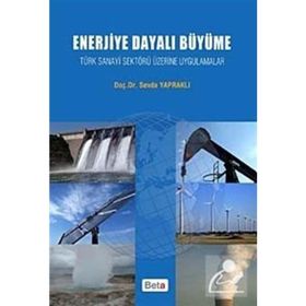 ENERJIYE DAYALI BÜYÜME - SEVDA YAPRAKLI