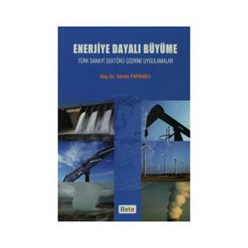 ENERJIYE DAYALI BÜYÜME - SEVDA YAPRAKLI