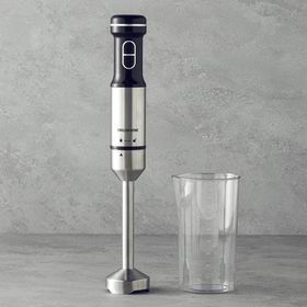 English Home ELB 3001 Siyah Krom El Blender