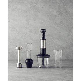 English Home MBS 3001 Siyah Krom Mini Blender Seti