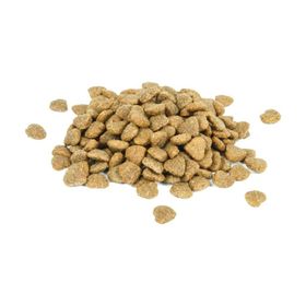 Enjoy Tavuklu 5 Kg Yetişkin Kedi Maması