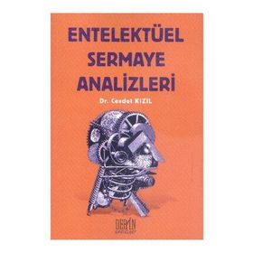 ENTELEKTÜEL SERMAYE ANALIZLERI - CEVDET KIZIL