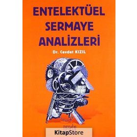 ENTELEKTÜEL SERMAYE ANALIZLERI - CEVDET KIZIL