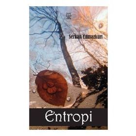 Entropi - Serkan Yılmazkurt
