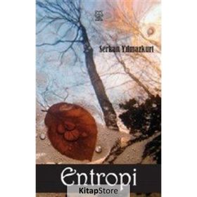 Entropi - Serkan Yılmazkurt