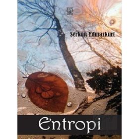 Entropi - Serkan Yılmazkurt