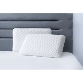 Enza Home Visco Therapy Standart 38x70 cm Yedek Yastık Kılıfı