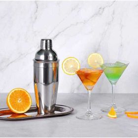 Epinox 350 ml Shaker Çelik