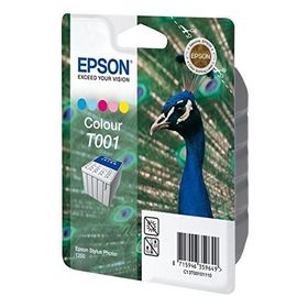 Epson C13T00101120 Renkli Kartuş