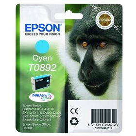 Epson C13T08924020 Kartuş
