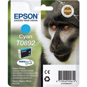 Epson C13T08924020 Kartuş