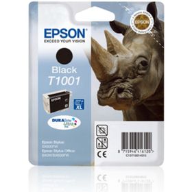 Epson C13T10014020 Kartuş