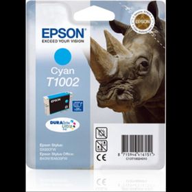 Epson C13T10024020 Kartuş