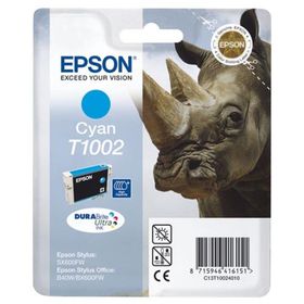 Epson C13T10024020 Kartuş