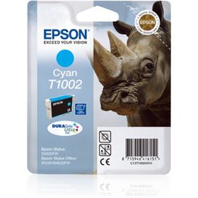 Epson C13T10024020 Kartuş