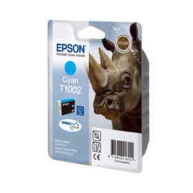 Epson C13T10024020 Kartuş