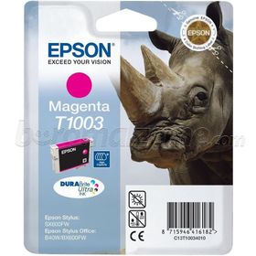 Epson C13T10034020 Kartuş