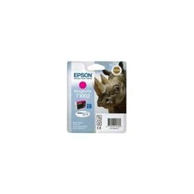Epson C13T10034020 Kartuş