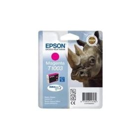 Epson C13T10034020 Kartuş