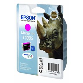Epson C13T10034020 Kartuş