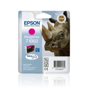 Epson C13T10034020 Kartuş